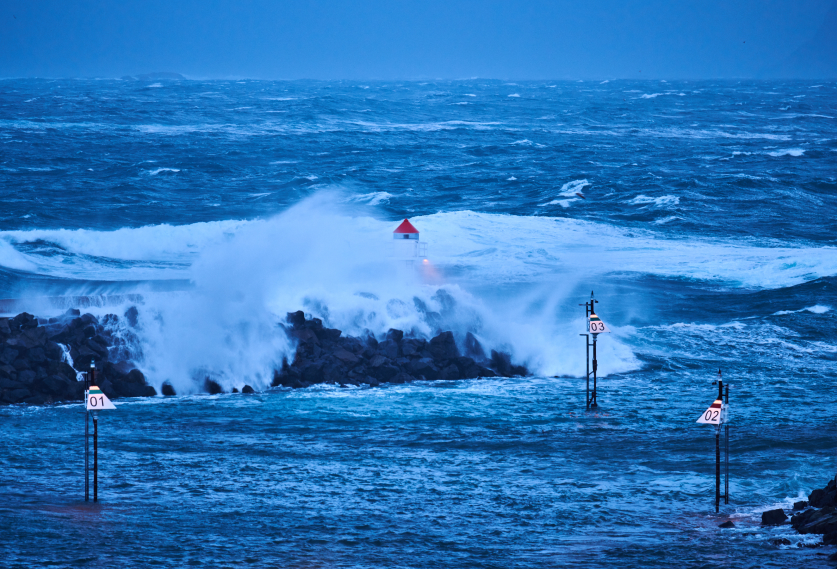 local-sight-seeing Vesterålen activities