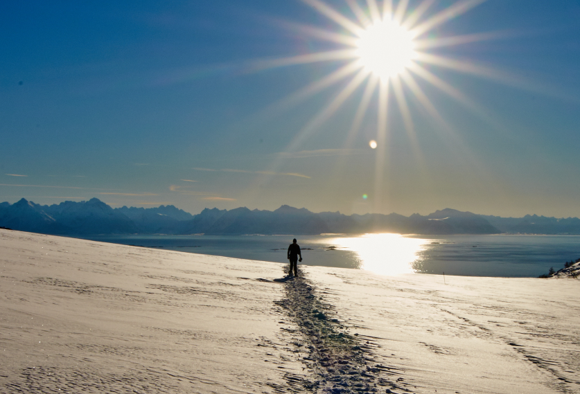 snow-shoeing Vesterålen activities