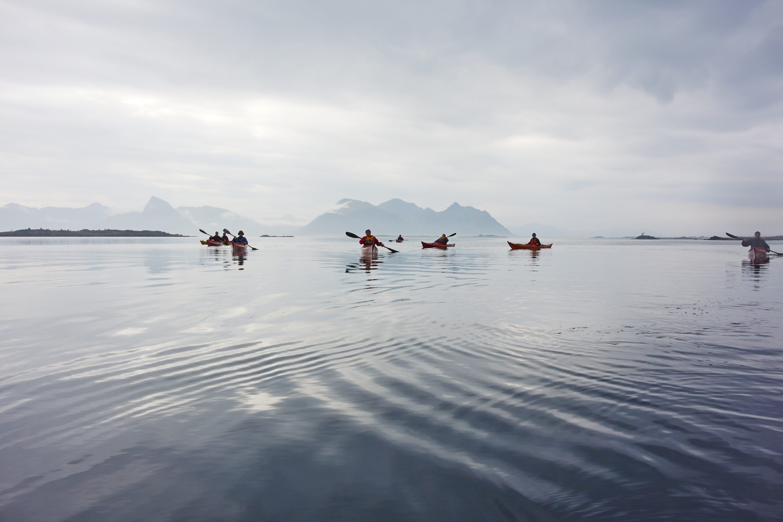 Kayaking Vesteralen Activities