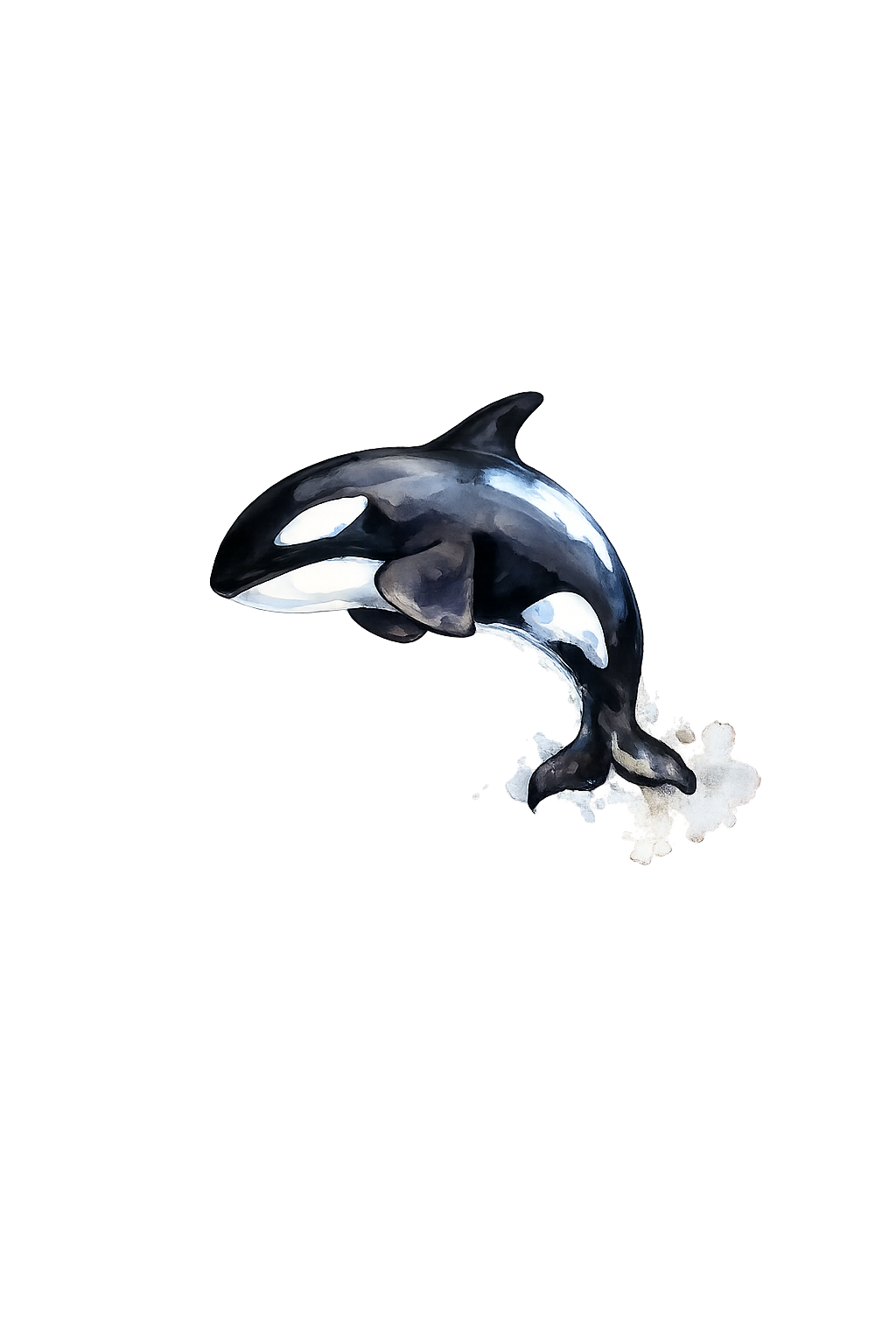 Orca