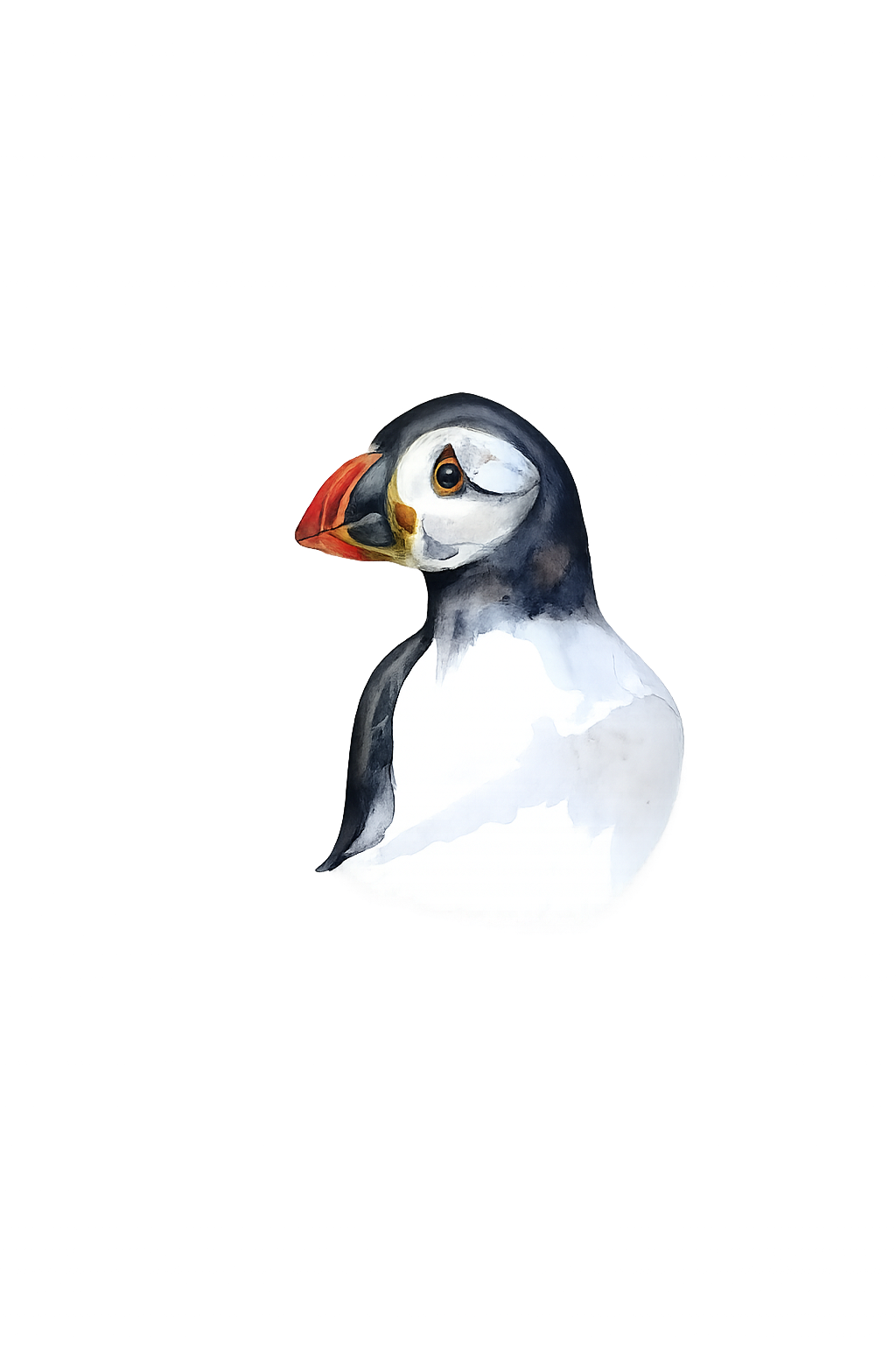 Puffin